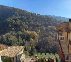 Affitto casa Piglio Frosinone